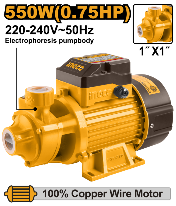 Ingco Water pump